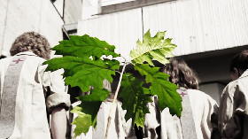 vlcsnap-2013-12-03-09h39m27s235.png